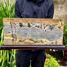 16.2LB Beautiful Natural Chinese Dendritic Limestone Picture Stone Guohua-Rare picture