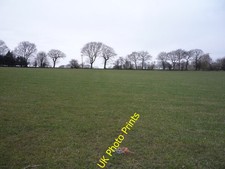 Photo 6x4 Grazing, Lower Denby Off Lower Denby Lane. c2016 picture