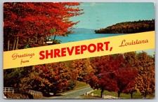 LA, Shreveport, Greetings, Nature Scene, Vintage Postcard picture