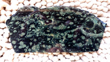 Kabamba Orbicular Crocodile Jasper Stromatolite Unpolished Slab Beautiful 7.4 oz picture