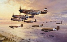 D-Day The Airborne Assault by Robert Taylor Signed by D-Day Mustang Pilots picture