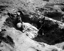 Soldier sleeps Doberman Pinscher War Dog Butch Guards 8x10 WWII Photo 877a picture