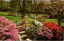 Middletown NY postcard BEAUTIFUL SPRINGTIME GARDEN FLOWERING SHRUBS 9/12 BC7876 picture