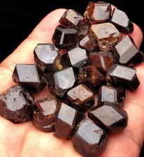 76g 21PCS New Find Raw Natural rare Garnet crystal Inner Mongolia  t173 picture