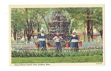 Postcard Vin (9)MI, Holland Tulips, Tulips, Tulips All UP See Description (334) picture