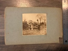 Vintage Original Charles Henry Miller Photograph of Plowing Farmer picture