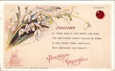 1907 W.H. Gannett Jan Birthday Postcard Aquarius Snowdrop Garnet Verse picture