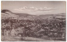 Bird's Eye View of Oneonta NY New York c1910 Printed Germany Postcard picture