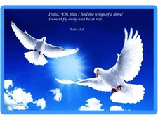 Dove Flying Bible Quote Refrigerator / Locker / Tool Box  Magnet   picture
