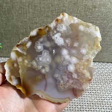 Sakura Agate Blossom Facet Rough Specimen Madagascar  285g g22 picture