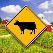 COW CROSSING SIGN    /     Aluminum  Farm Safety Plaque  - Country Decor - Barn picture