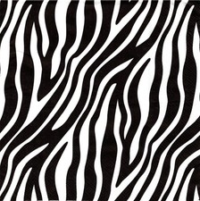 (2) Two Paper Lunch Napkins for Decoupage/Mixed Media - Animal Print Zebra picture
