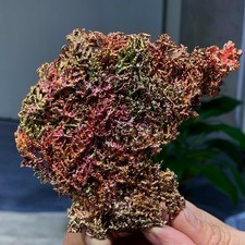 195G Rare iridescent Native Copper crystal mineral specimen picture