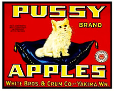 Pussy Brand Apples Yakima Washington State Cat Fruit Label 8