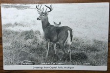 Crystal Falls, Michigan Real Photo Postcard picture
