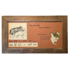 Vintage Arctic Fox Zoo Animal Exhibit Placard Hanging Sign Wood Frame 28
