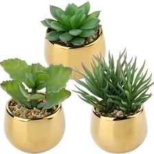 Briful Small Artificial Succulents Set of 3 Gold Ceramic Pots picture
