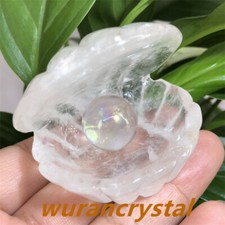 Natural Clear quartz crystal shell carved Home decoration Reiki healing gift 1pc picture