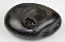 Matsya Shaligram- Gandaki River-139 Gram/2.71 Inch picture