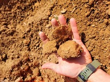 North Carolina  Red  clay/ dirt unsearched Aprox 5 Lbs  picture