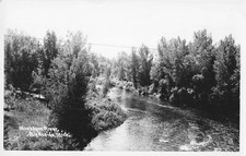 CEN Big Rapids MI RPPC Muskegon River Big Time STEELHEAD & NATIVE TROUT COUNTRY picture