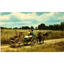 Vintage Deep South Postcard Going Home Mule Drawn Wagon Hubert Lowman DS-808 MS picture