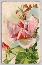 Sweet Peas Roses Embossed Floral Art Divided Back Postcard picture