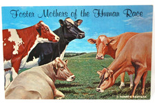 Ag Postcard Dairy Cows Breeds Foster Mothers of the Human Race Five Dairy Queens picture
