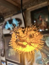NEW 5”-6” Pufferfish Lamp w/Yellow LED Tiki bar Smokin Tikis Oceanic picture