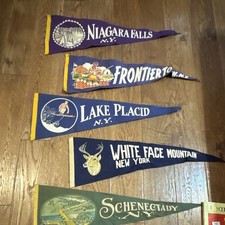 Vintage NY Souvenir Pennant Lot Frontier Town Lake Placid Niagara Falls 5pc picture