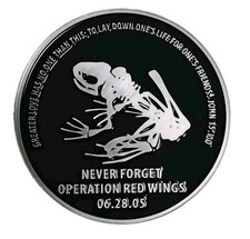 Operation Red Wings Navy Seal Team 10 Navy SEAL 06.28.05⁸ picture