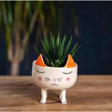 Handcrafted Ceramic Cat Planter, Whimsical Kitten Succulent Pot picture
