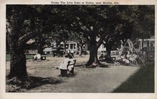 Coden Mobile Alabama Bayou la Batre Fishing Village Early 1900s Vtg Postcard 4A picture
