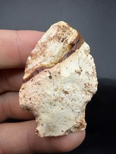 Authentic Native American Arrowhead Artifact For Sale picture