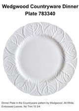 Wedgwood Countryware Dinner Plate 783340 picture