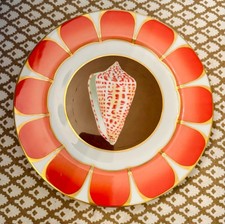 Lynn Chase Coquilles Des Mers salad/dessert plates (set  of 8)  picture