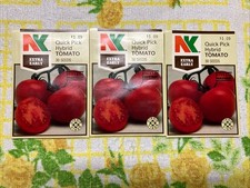 Vintage Northrup King Quick Pick Hybrid Tomato Seed Packets  picture