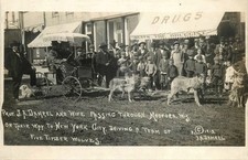 Medford WI Wisconsin Harnessed Timber Wolves c1910 RPPC Photo Postcard COPY picture