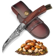 Mushroom Knife with Brush, Folding Foraging Knife picture