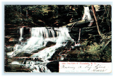 1906 The Falls Ferndale NY Early Posted View Hllig Pub picture