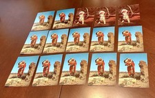 15 Vintage Native American Postcards Indian Chief Old Indian Skill Southwest picture