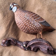 Hand Carved Male Northern Bobwhite Quail By N. Zempel 2002 Feather Detailing picture