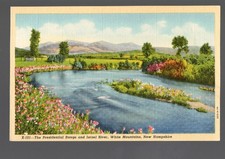 c1934 Presidential Range Israel River NH Flowers Linen Postcard X-101 picture