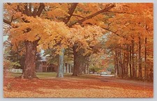 Nathaniel Hawthorne College Antrim NH Autumn Foliage Vintage Postcard picture