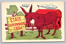 Vintage Laff Gram Postcard State Experimental Farm Cartoon Donkey Udder picture