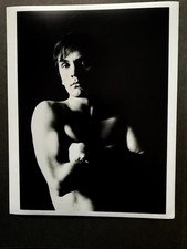 TERENCE STAMP -  Vintage Rare ORIGINAL STUDIO Portrait Press Photo picture