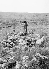 Northern views Ruins at Chorazin ca 1900 Historic Old Photograph picture