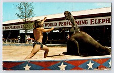 [3H13] Postcard 1976, Ringling Bros Barnum Bailey Circus Leopard Elephant picture