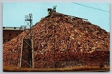 Pulpwood Pile Paper Manufacturing Maine Postcard C1960 G20 picture