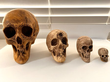 4 EA. RANDOTTI ORIGINAL SKULLS..... LARGE, VOO DOO, PIXIE & SMALL ROUND HEAD picture